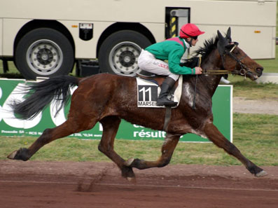 course-hippique (1)