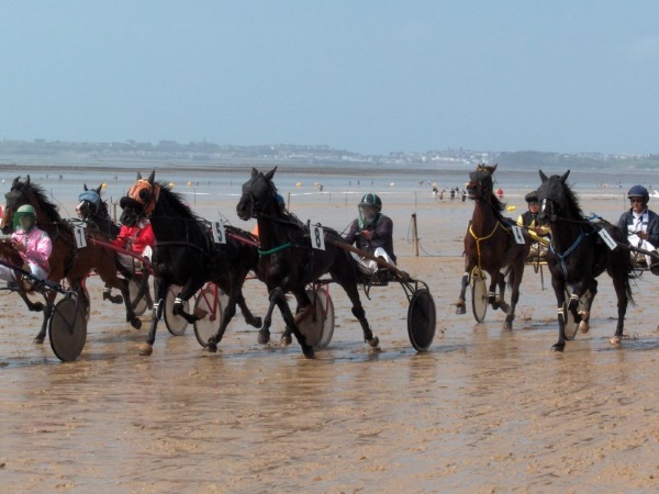 courses quinté